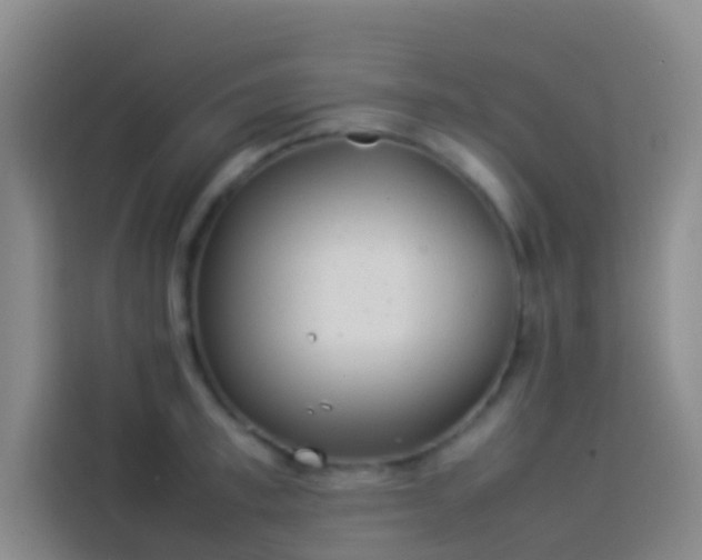 X0000113890997200910011319