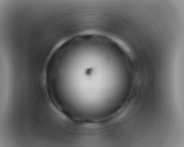 X0000113890998200910011319