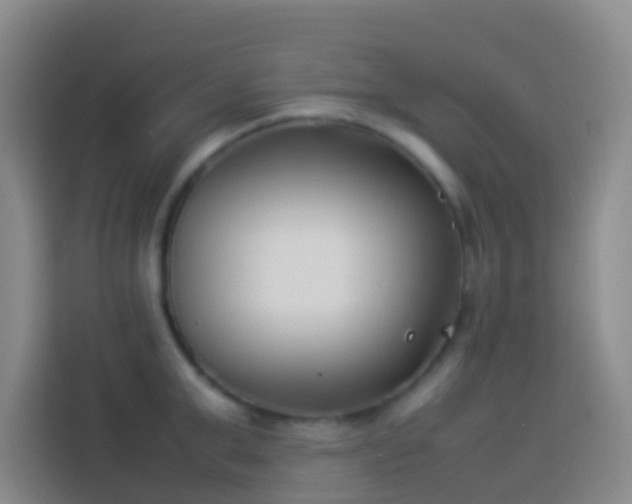 X0000113890999200910011319