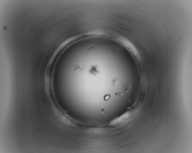 X0000113891000200910011319