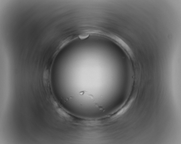 X0000113891001200910011319