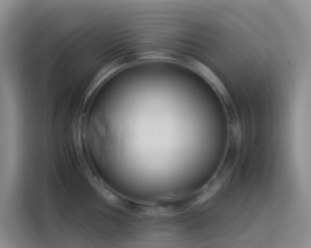 X0000113891002200910011319