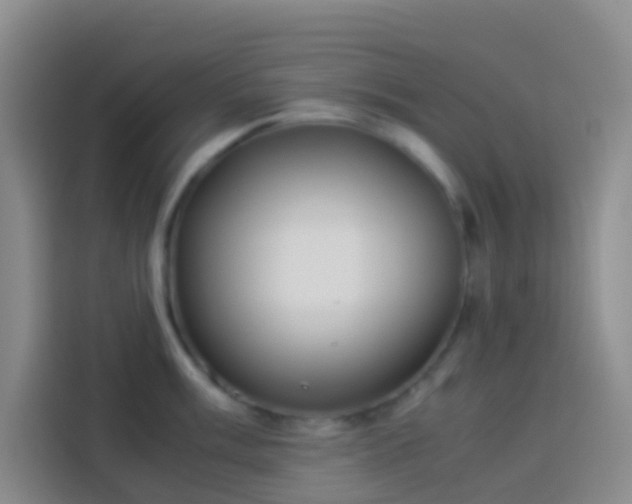 X0000113891003200910011319