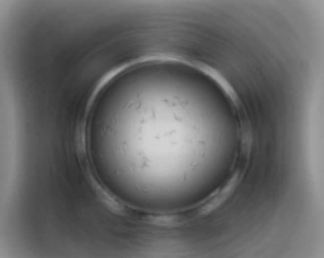 X0000113891004200910011319