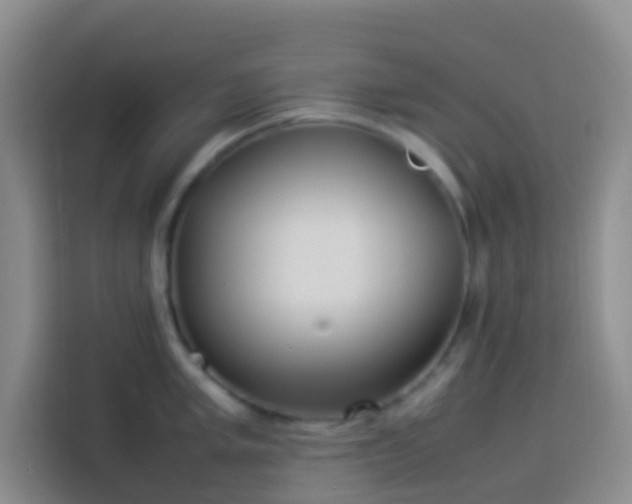 X0000113891005200910011319