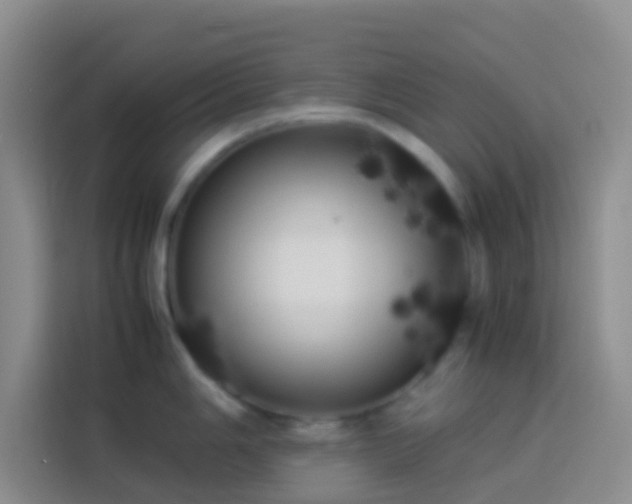 X0000113891006200910011319