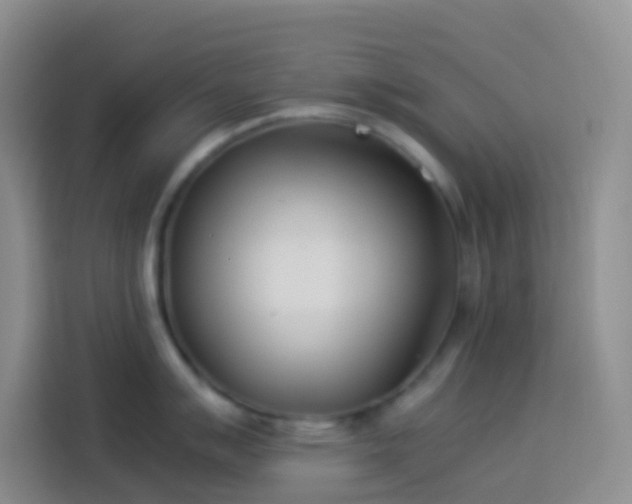 X0000113891007200910011319