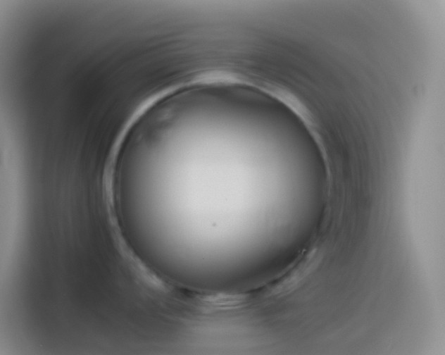 X0000113891008200910011319