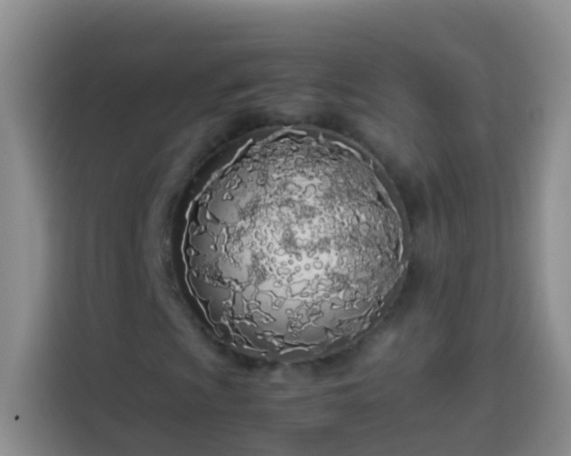 X0000113891009200910011318