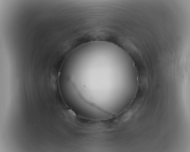 X0000113891010200910011318