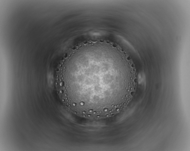 X0000113891011200910011318