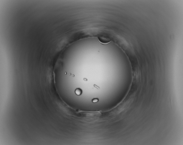 X0000113891012200910011318