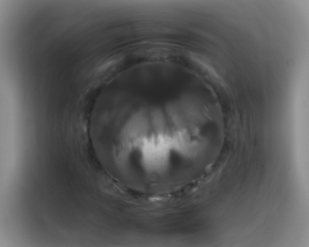 X0000113891013200910011318