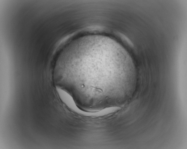 X0000113891016200910011318