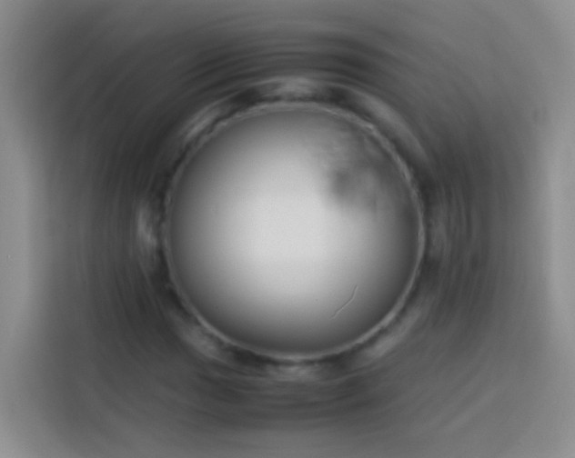 X0000113891017200910011318