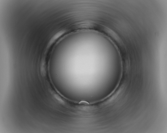 X0000113891018200910011318