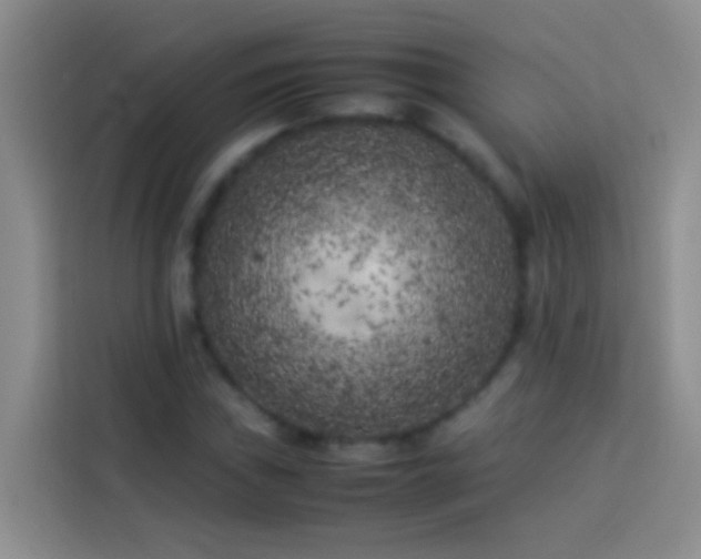 X0000113891019200910011318