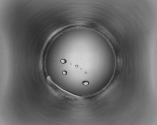 X0000113891020200910011318