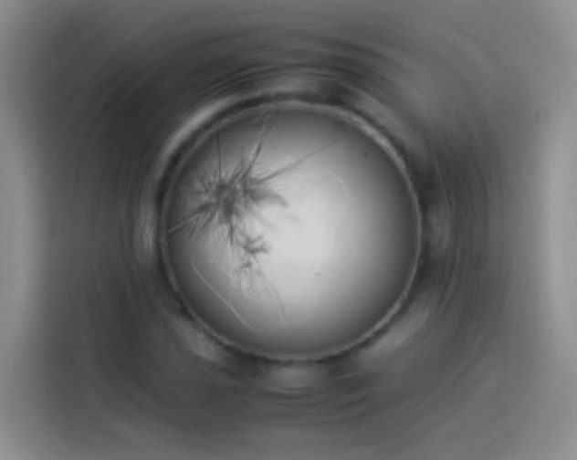 X0000113891021200910011318
