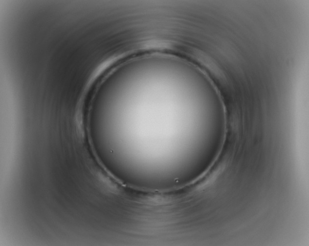 X0000113891022200910011318