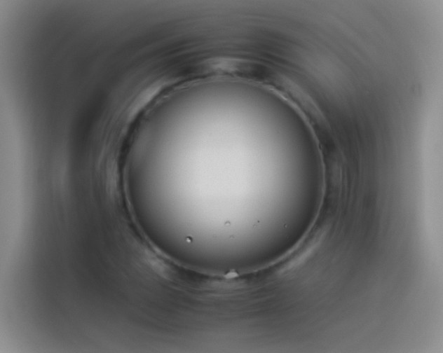 X0000113891023200910011318