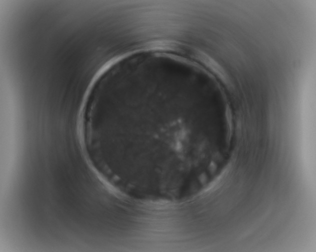 X0000113891024200910011318