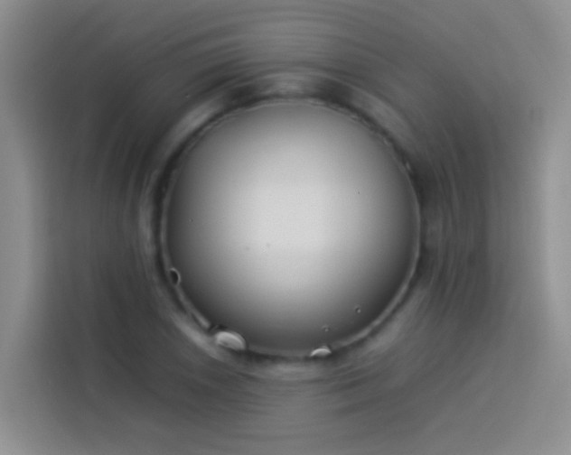 X0000113891026200910011318