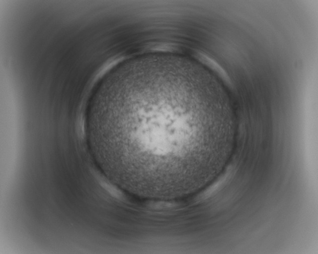 X0000113891027200910011318