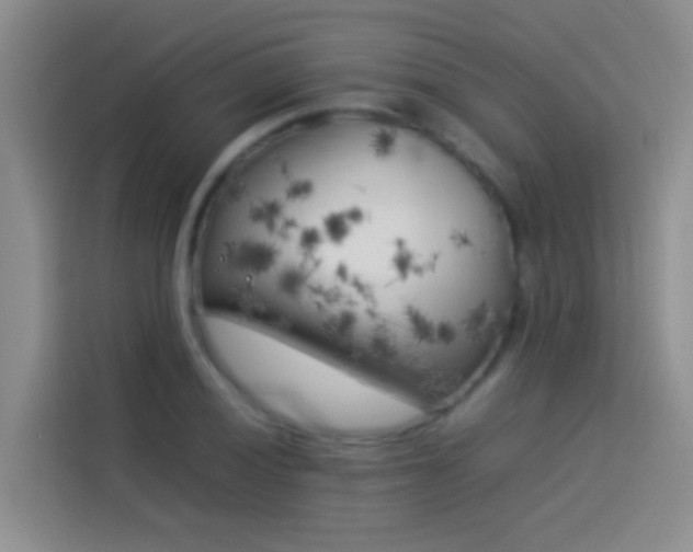 X0000113891028200910011318