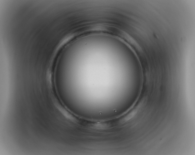 X0000113891029200910011318