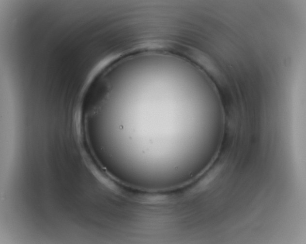 X0000113891030200910011318