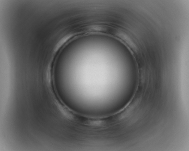 X0000113891031200910011318