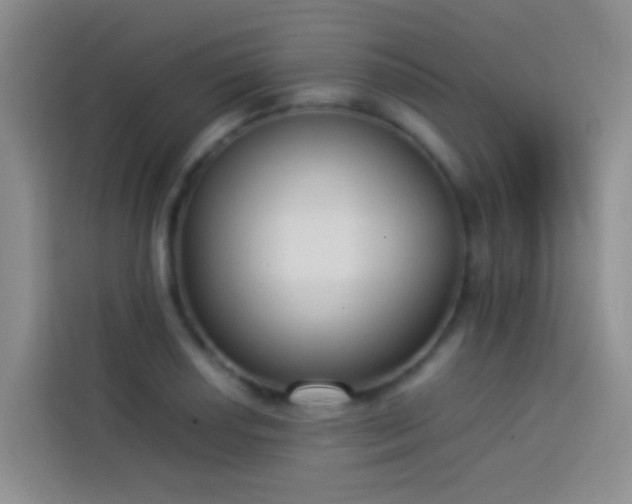 X0000113891034200910011318