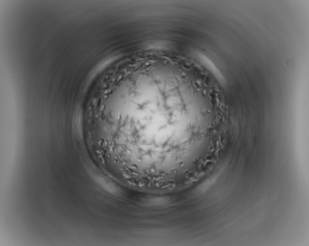 X0000113891035200910011318