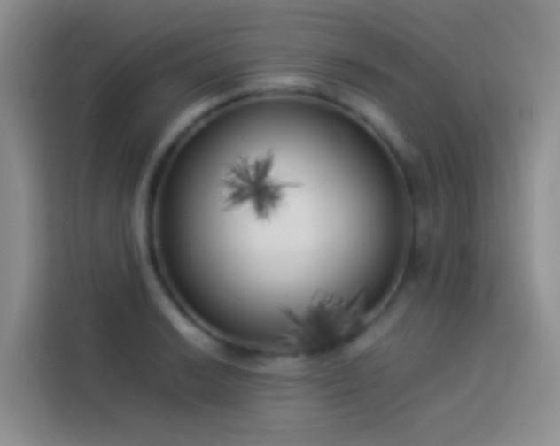 X0000113891038200910011318