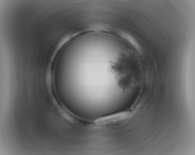 X0000113891040200910011318