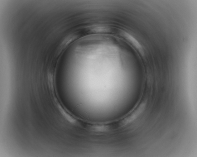 X0000113891041200910011318