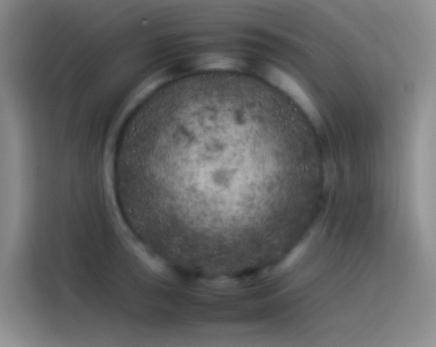 X0000113891043200910011319