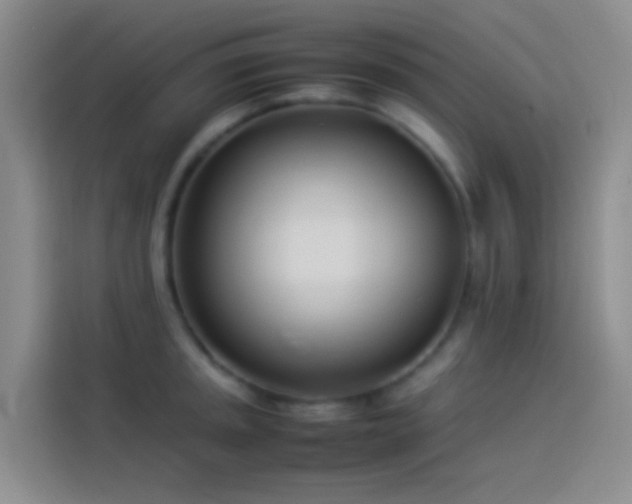 X0000113891045200910011319