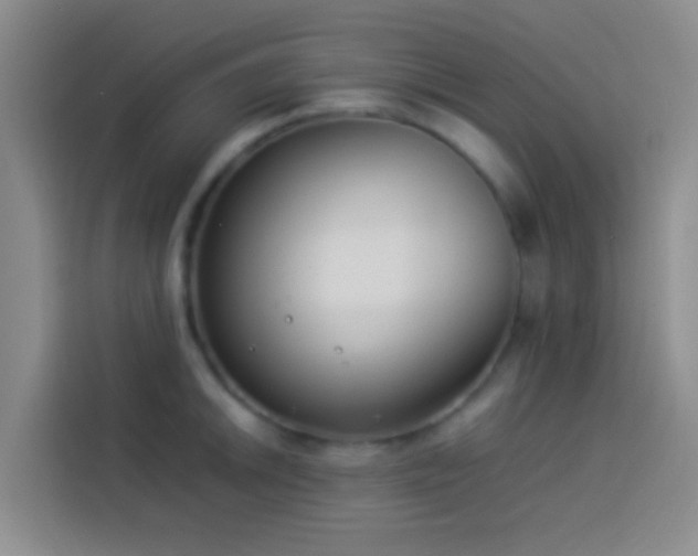 X0000113891046200910011319