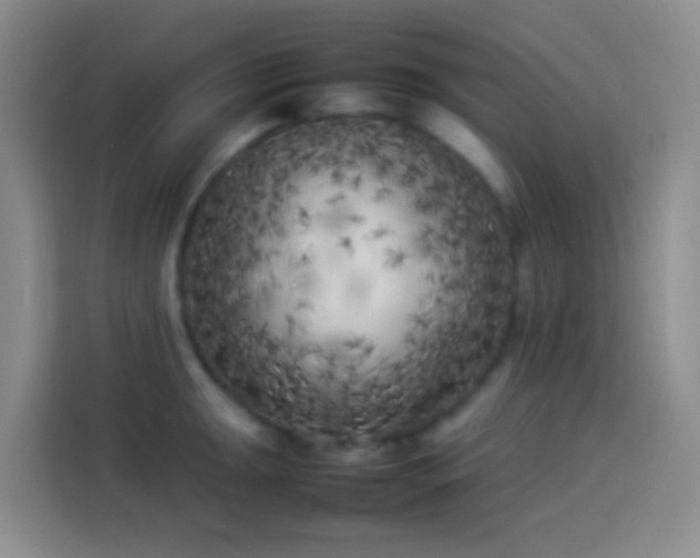 X0000113891047200910011319