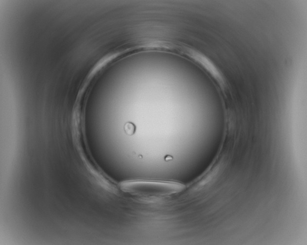 X0000113891048200910011319