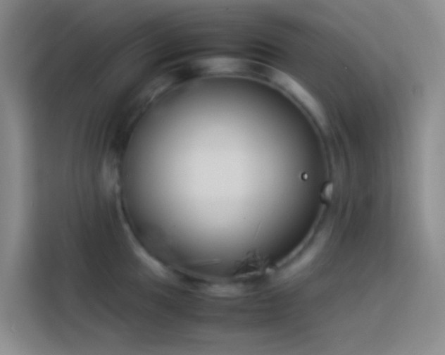 X0000113891049200910011319