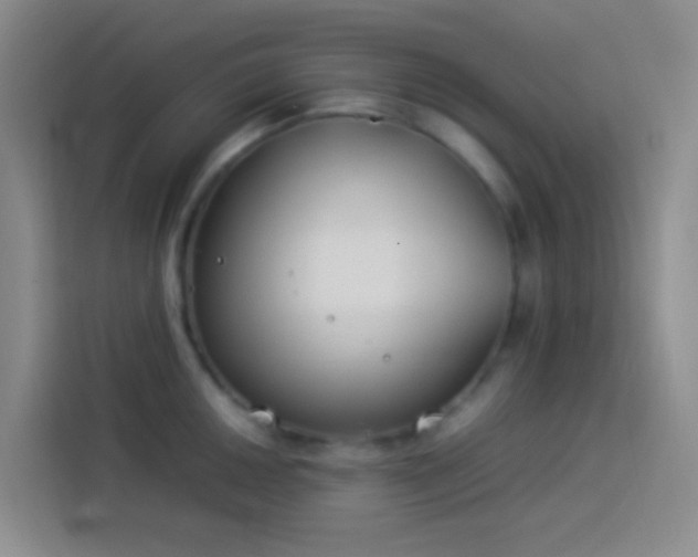 X0000113891050200910011319