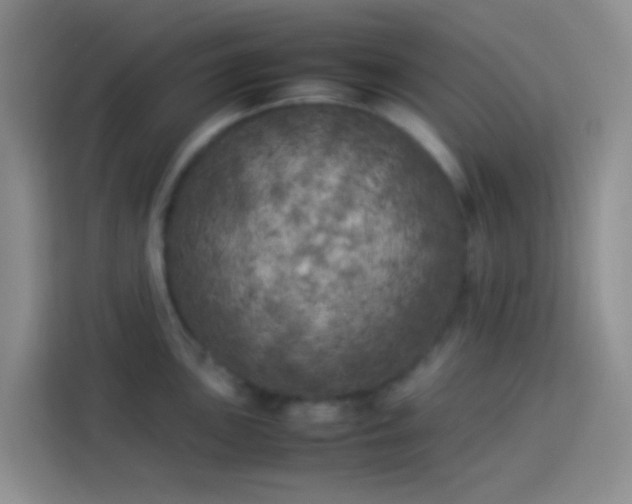 X0000113891051200910011319