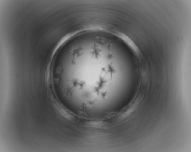 X0000113891052200910011319