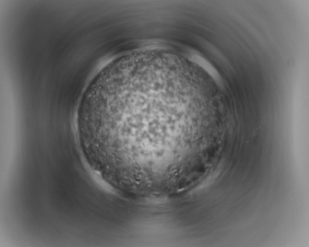 X0000113891055200910011319