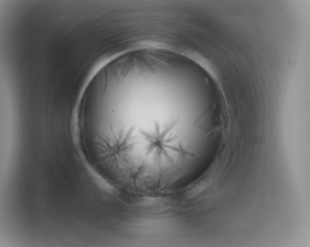X0000113891056200910011319