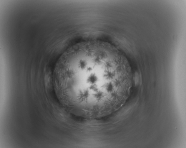 X0000113891059200910011318