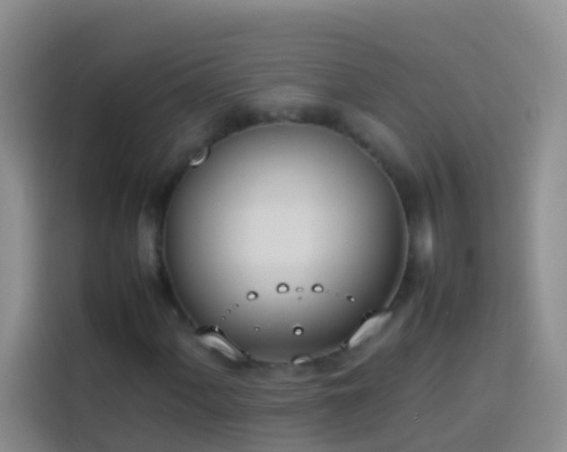 X0000113891060200910011318